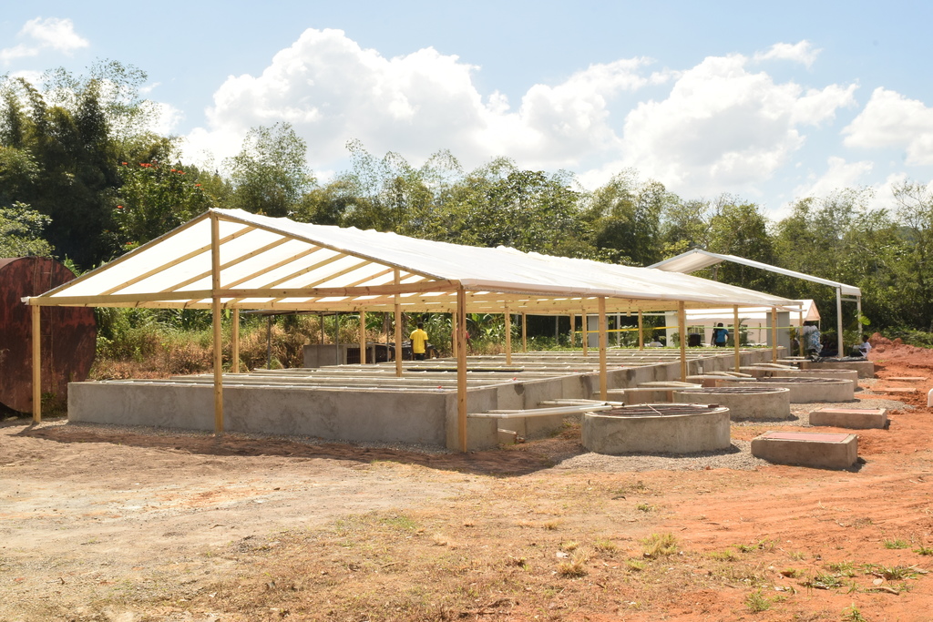 aquaponics farm